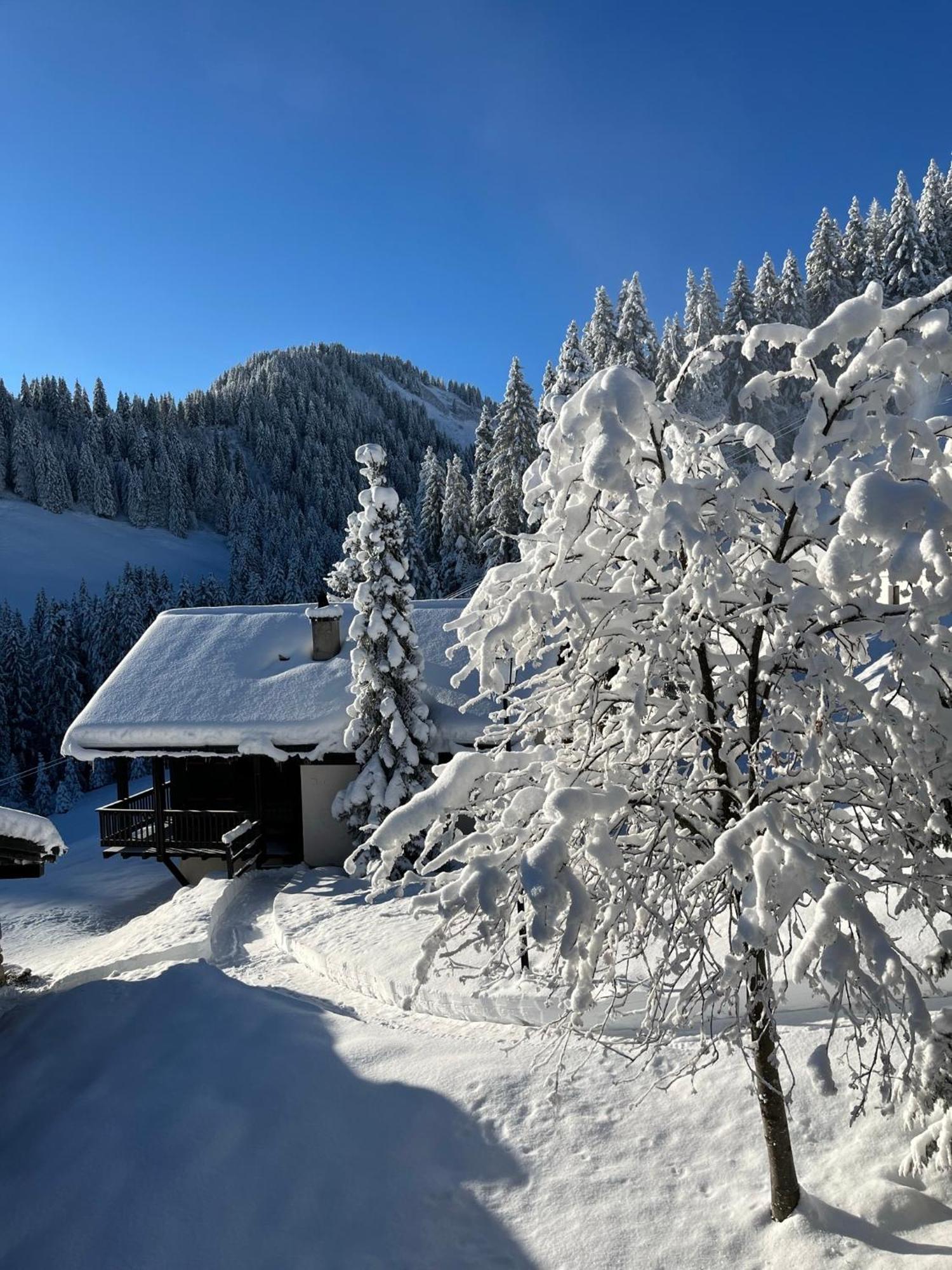 Chalet Lys Apartment 14 Rue Sigma Champoussin Dış mekan fotoğraf