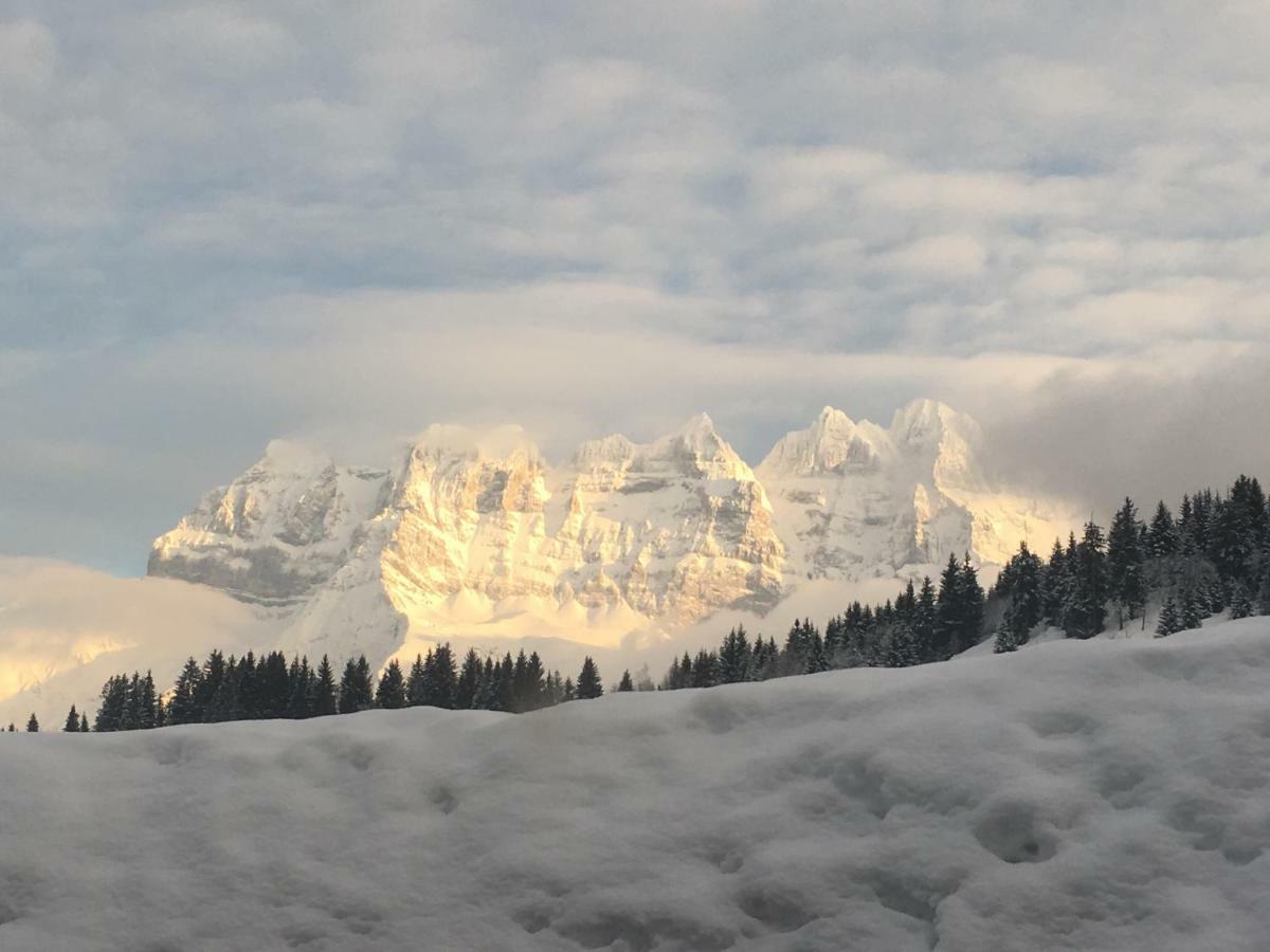 Chalet Lys Apartment 14 Rue Sigma Champoussin Dış mekan fotoğraf